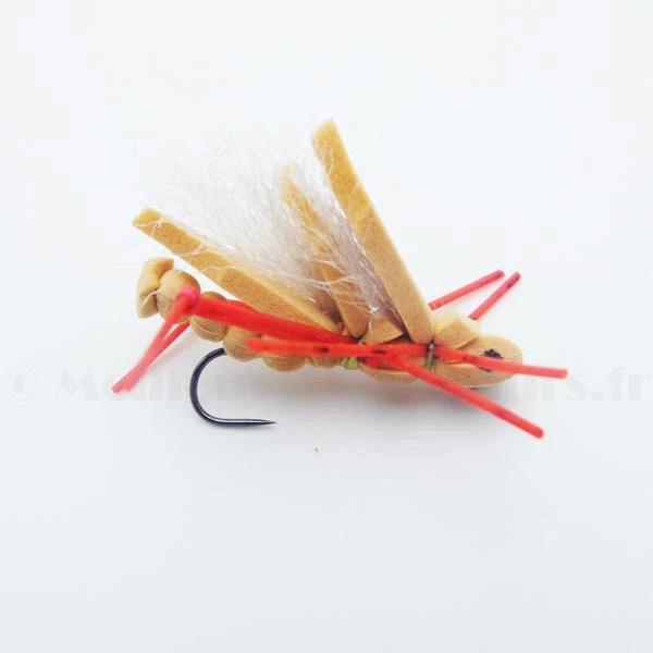 Sauterelle grise