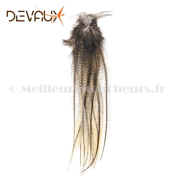 Lancettes de Pardo Devaux