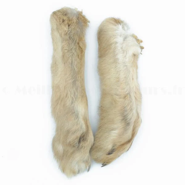 Pattes de lièvre de Patagonie (substitut PLA)