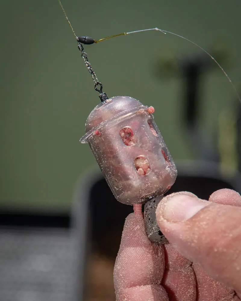 Maggot Feeders – Madenkorven