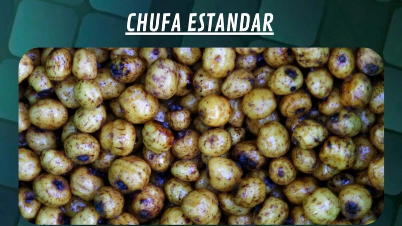 Noix tigrées Quality Seeds Norme 5kg