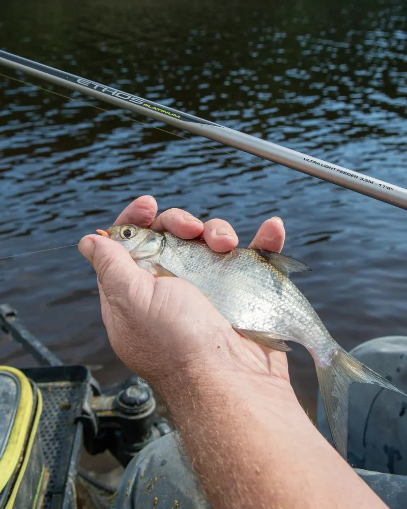Ethos Platinum Ultra Light Feeder Rods – Feederhengels