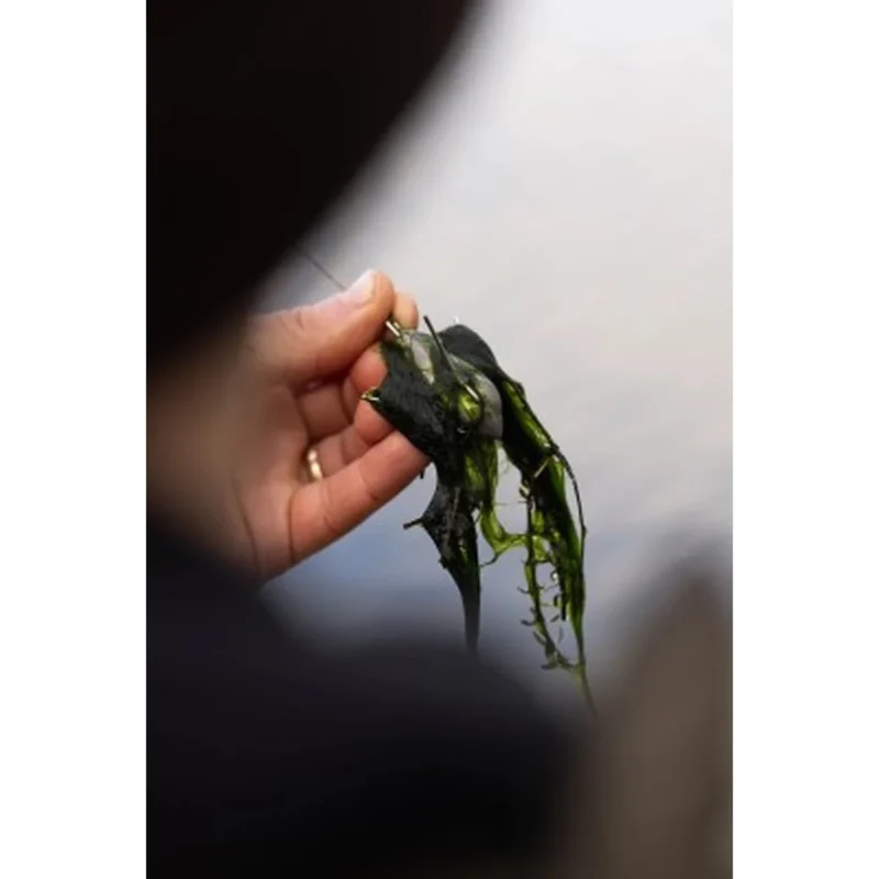 Plomb Korda Grapple