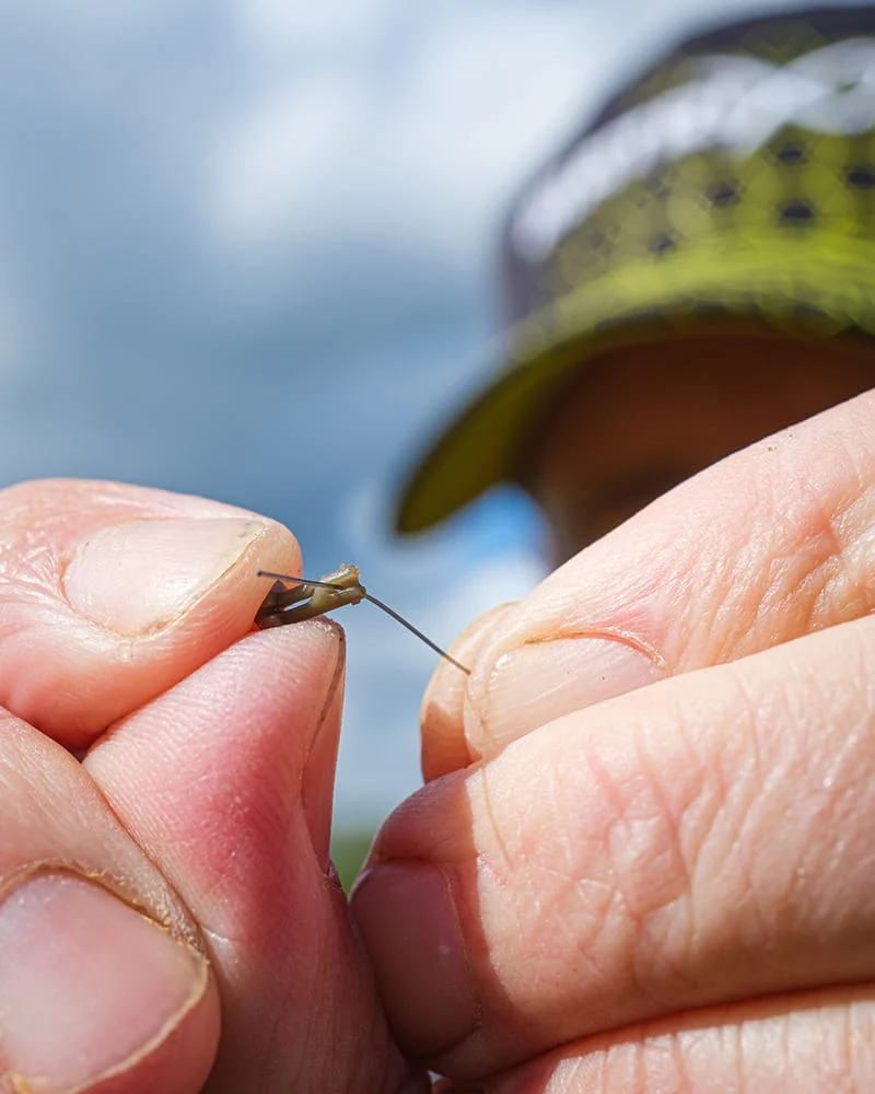 Feeder Beads – Snelwisselconnectoren voor Feedermontages (5 stuks)