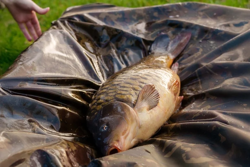 Tapis Nash Carp Care Deluxe XL