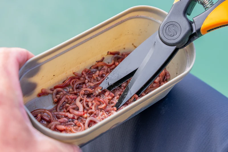 Worm Scissors – Wormenschaar