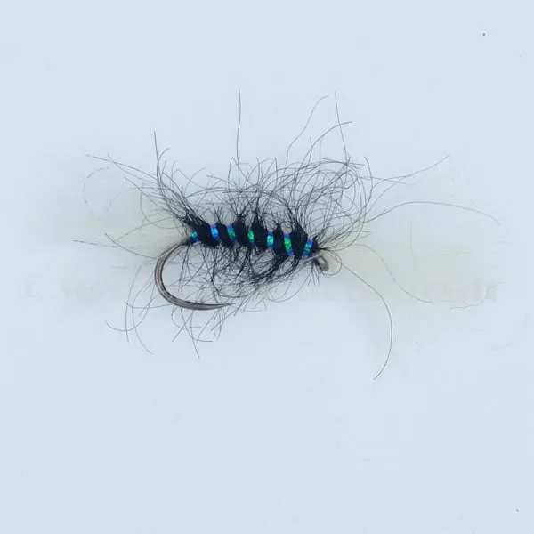 Shipman buzzer