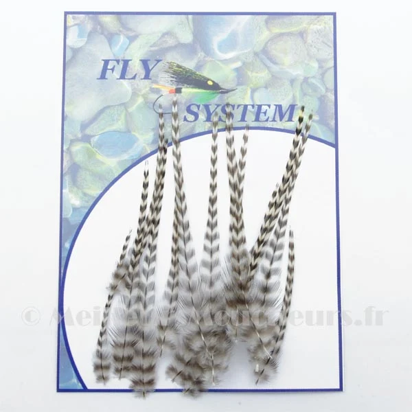 Hackle de coq génétique Grade 1