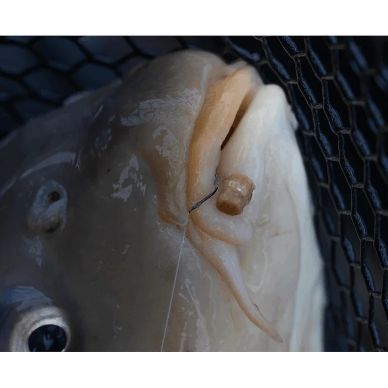 Hookable Bait Bands – Haakbare Pelletbandjes