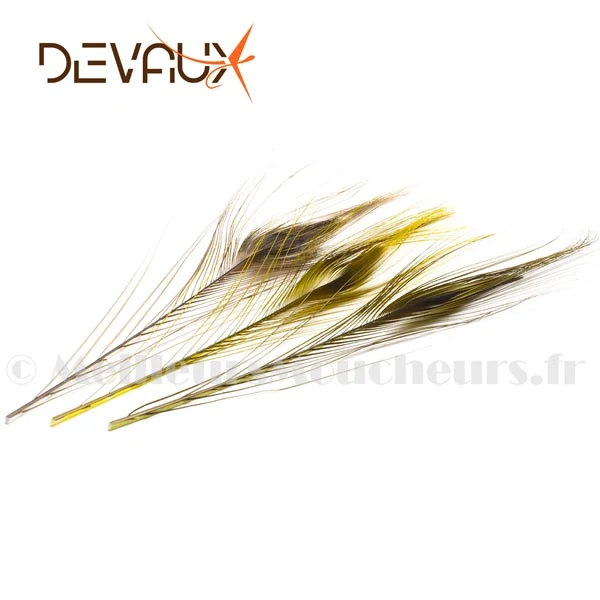 Quill de paon ébarbé Devaux