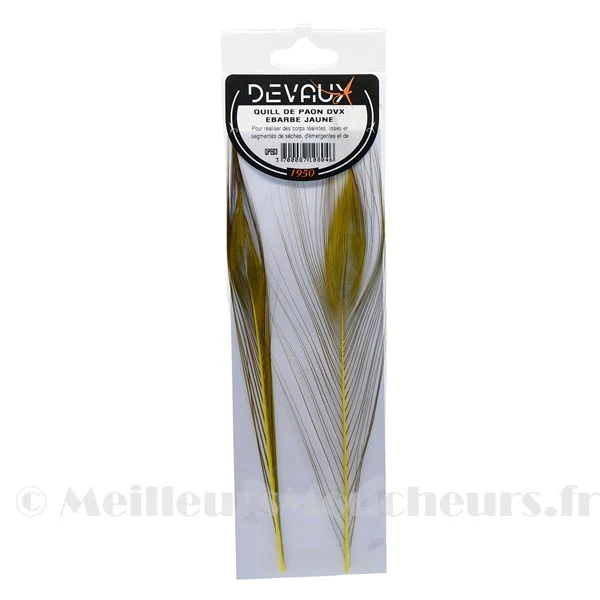 Quill de paon ébarbé Devaux