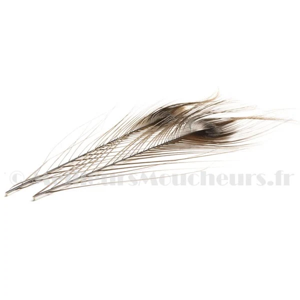 Quill de paon ébarbé Devaux