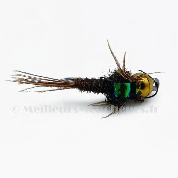 Pheasant Tail casquée flashback