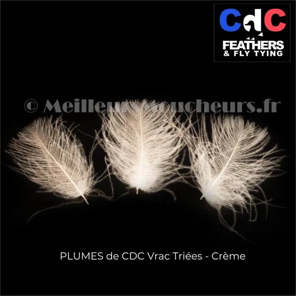 Plume Cul de Canard CDC PREMIUM teinté