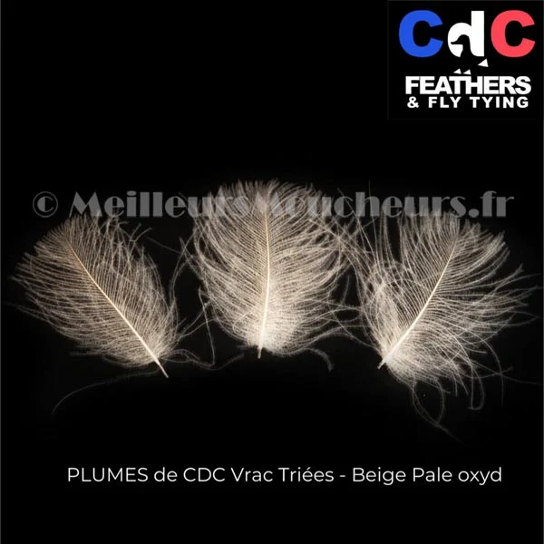 Plume Cul de Canard CDC PREMIUM teinté