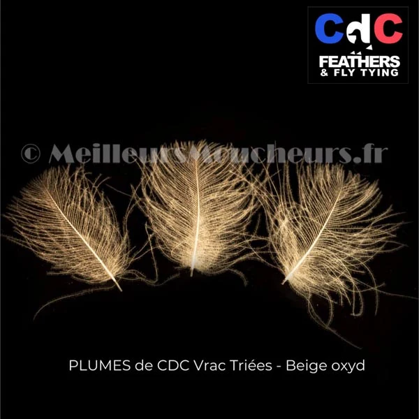 Plume Cul de Canard CDC PREMIUM teinté