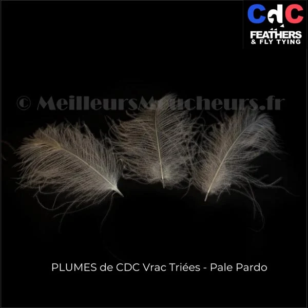 Plume Cul de Canard CDC PREMIUM teinté