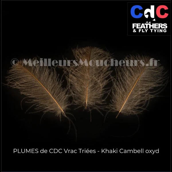 Plume Cul de Canard CDC PREMIUM teinté