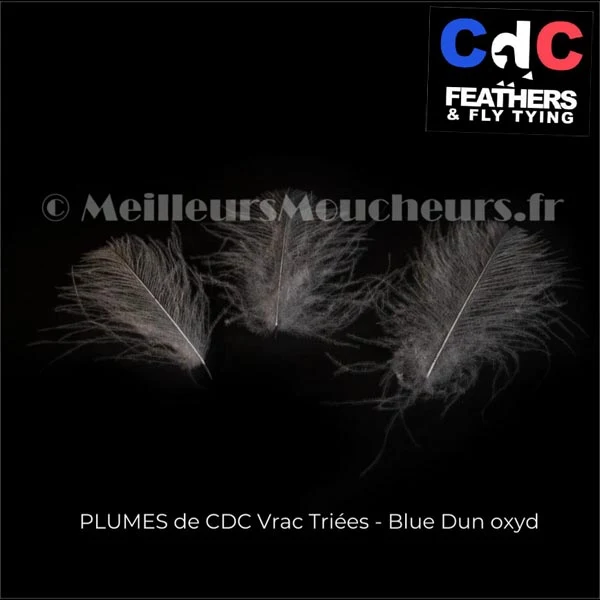 Plume Cul de Canard CDC PREMIUM teinté