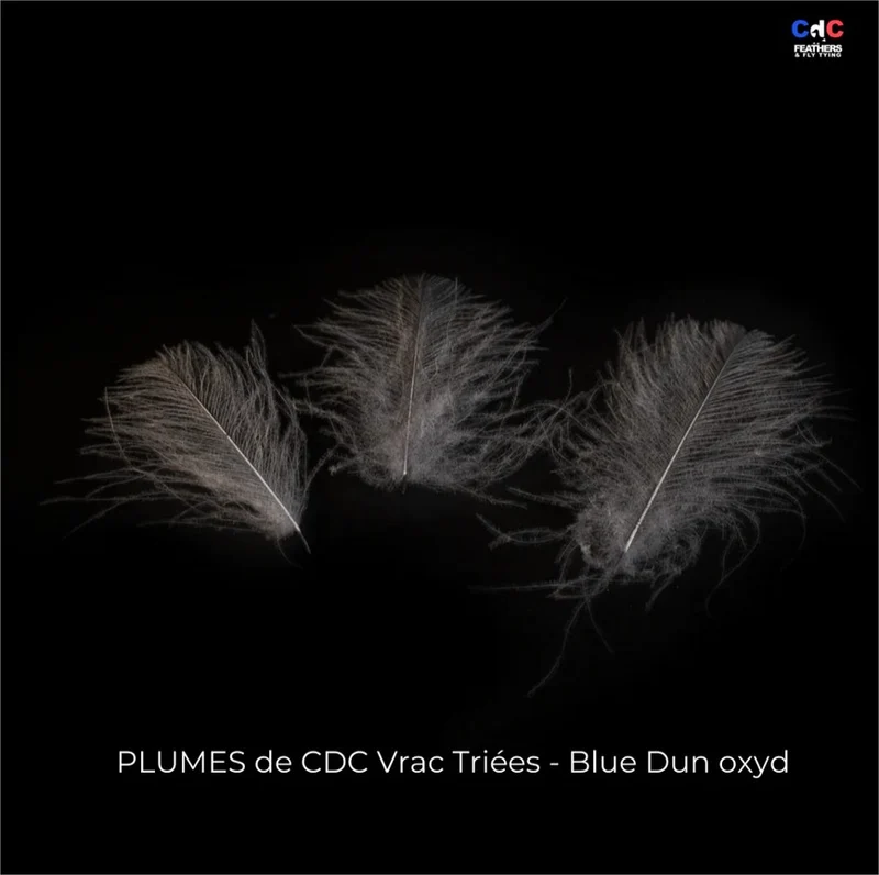 Plume Cul de Canard CDC PREMIUM teinté