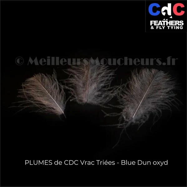 Plume Cul de Canard CDC PREMIUM teinté