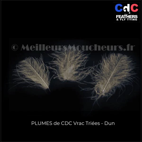 Plume Cul de Canard CDC PREMIUM teinté