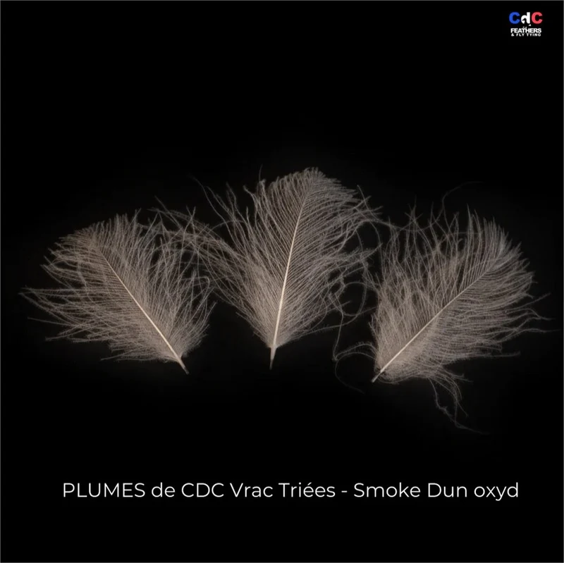Plume Cul de Canard CDC PREMIUM teinté