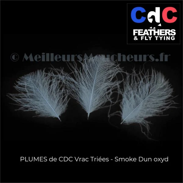 Plume Cul de Canard CDC PREMIUM teinté