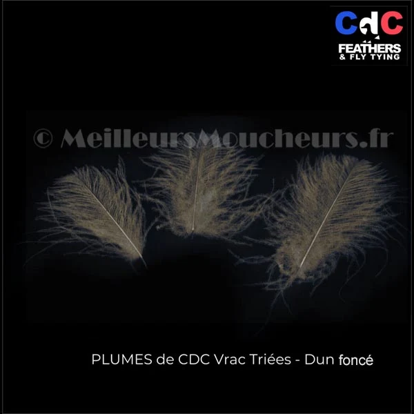 Plume Cul de Canard CDC PREMIUM teinté