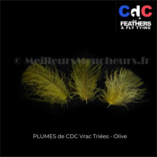 Plume Cul de Canard CDC PREMIUM teinté