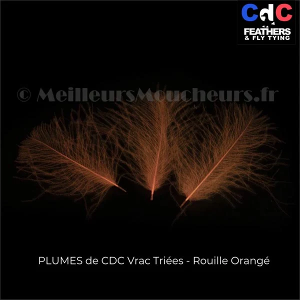 Plume Cul de Canard CDC PREMIUM teinté