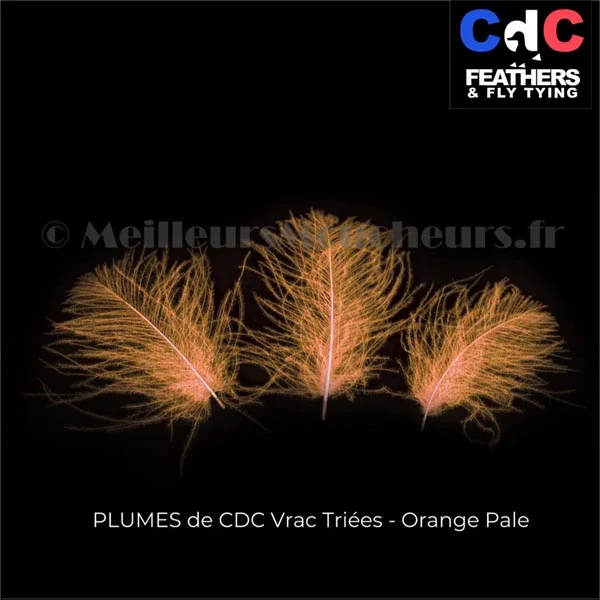 Plume Cul de Canard CDC PREMIUM teinté