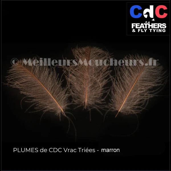 Plume Cul de Canard CDC PREMIUM teinté