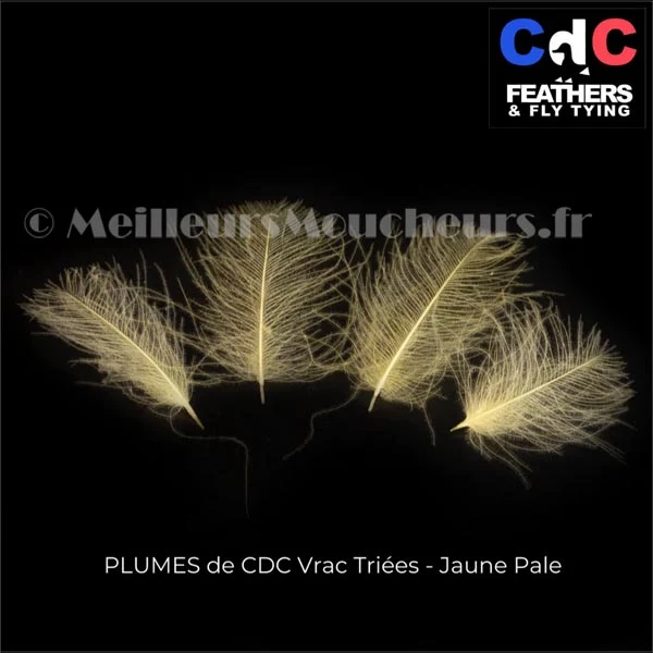 Plume Cul de Canard CDC PREMIUM teinté