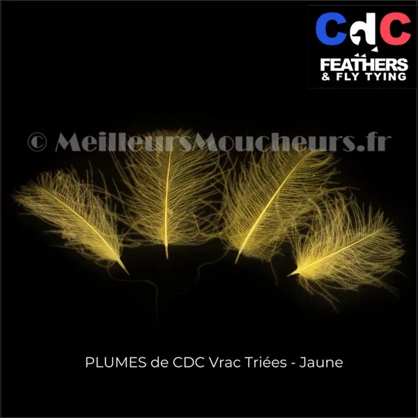Plume Cul de Canard CDC PREMIUM teinté