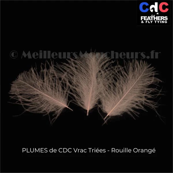 Plume Cul de Canard CDC PREMIUM teinté