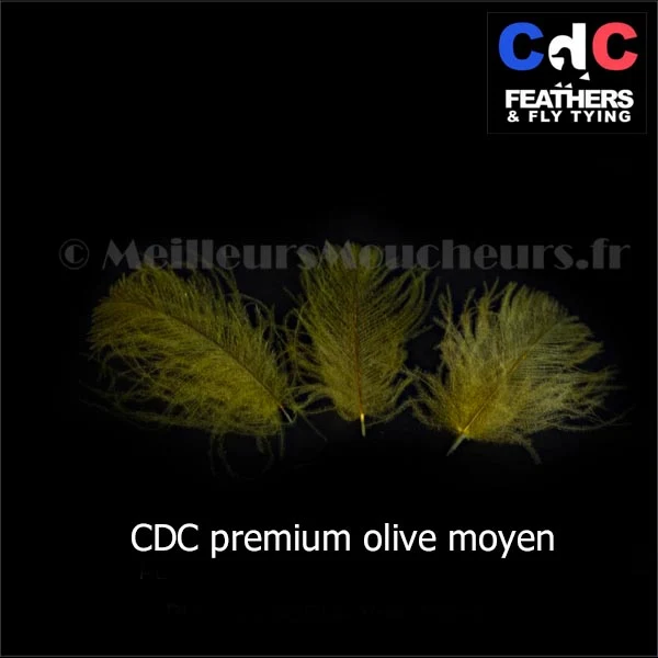 Plume Cul de Canard CDC PREMIUM teinté