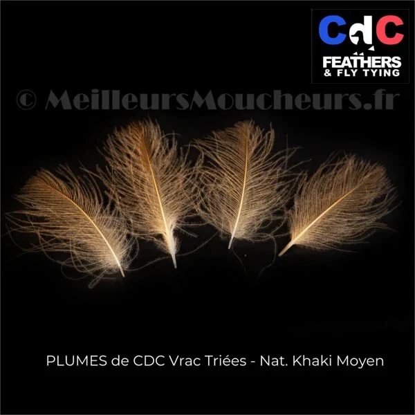 Plume Cul de Canard CDC PREMIUM naturel