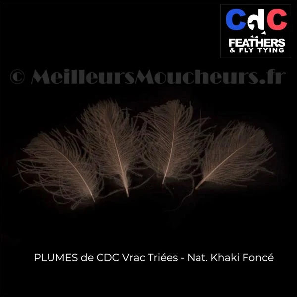 Plume Cul de Canard CDC PREMIUM naturel