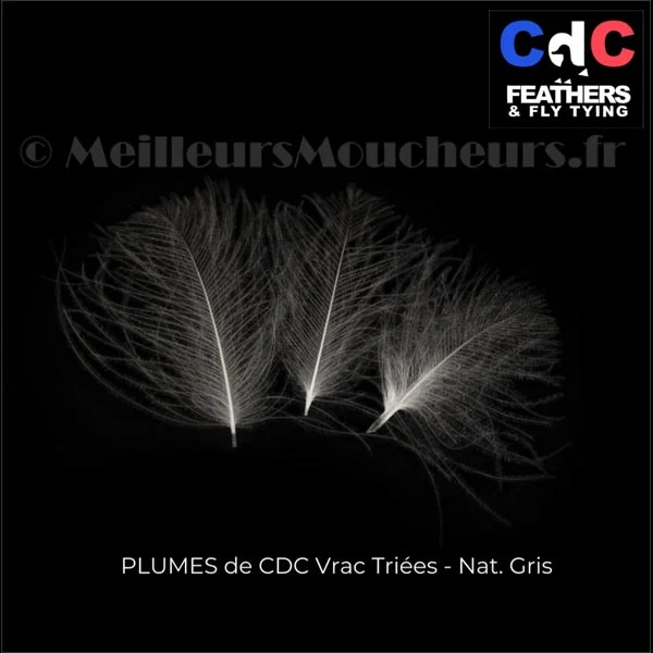 Plume Cul de Canard CDC PREMIUM naturel