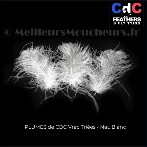 Plume Cul de Canard CDC PREMIUM naturel