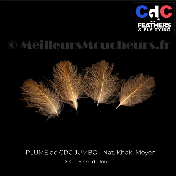 Plume Cul de Canard CDC JUMBO