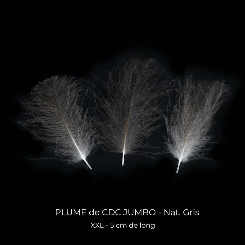 Plume Cul de Canard CDC JUMBO