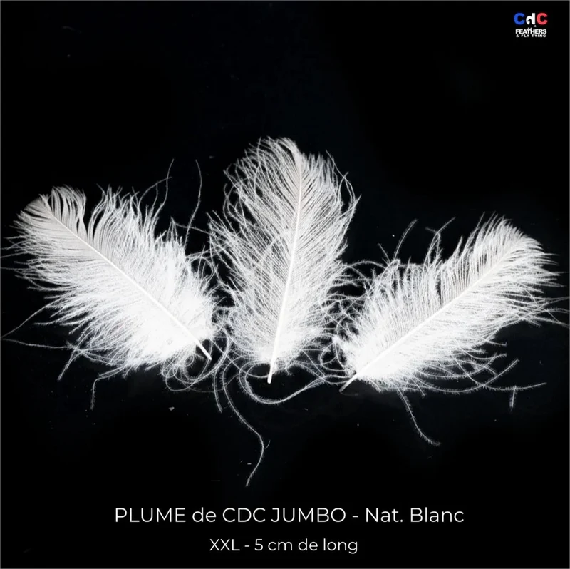 Plume Cul de Canard CDC JUMBO