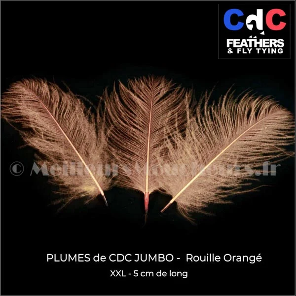 Plume Cul de Canard CDC JUMBO