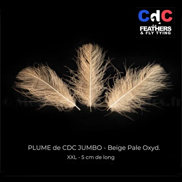 Plume Cul de Canard CDC JUMBO