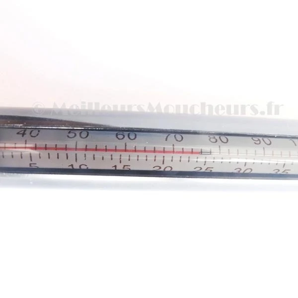 Thermomètre de pêche