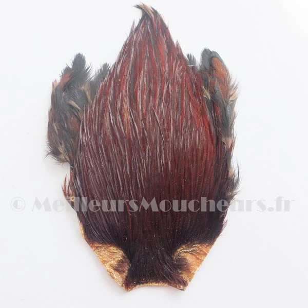 Cou de coq indien hackle Top grade