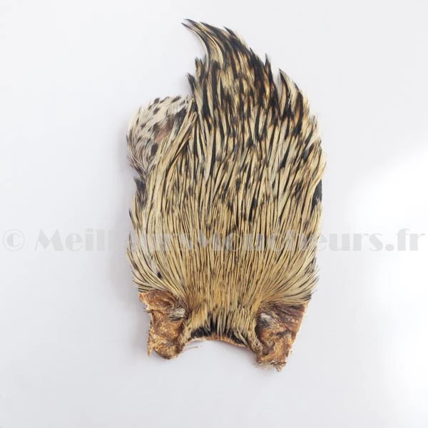 Cou de coq indien hackle Top grade