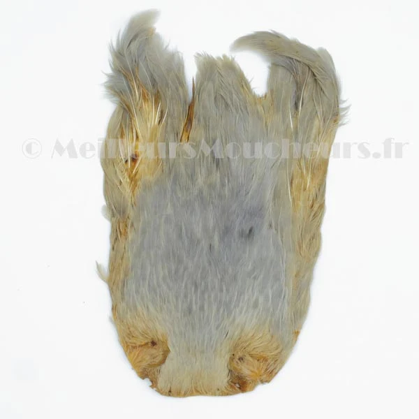 Cou de coq indien hackle Top grade